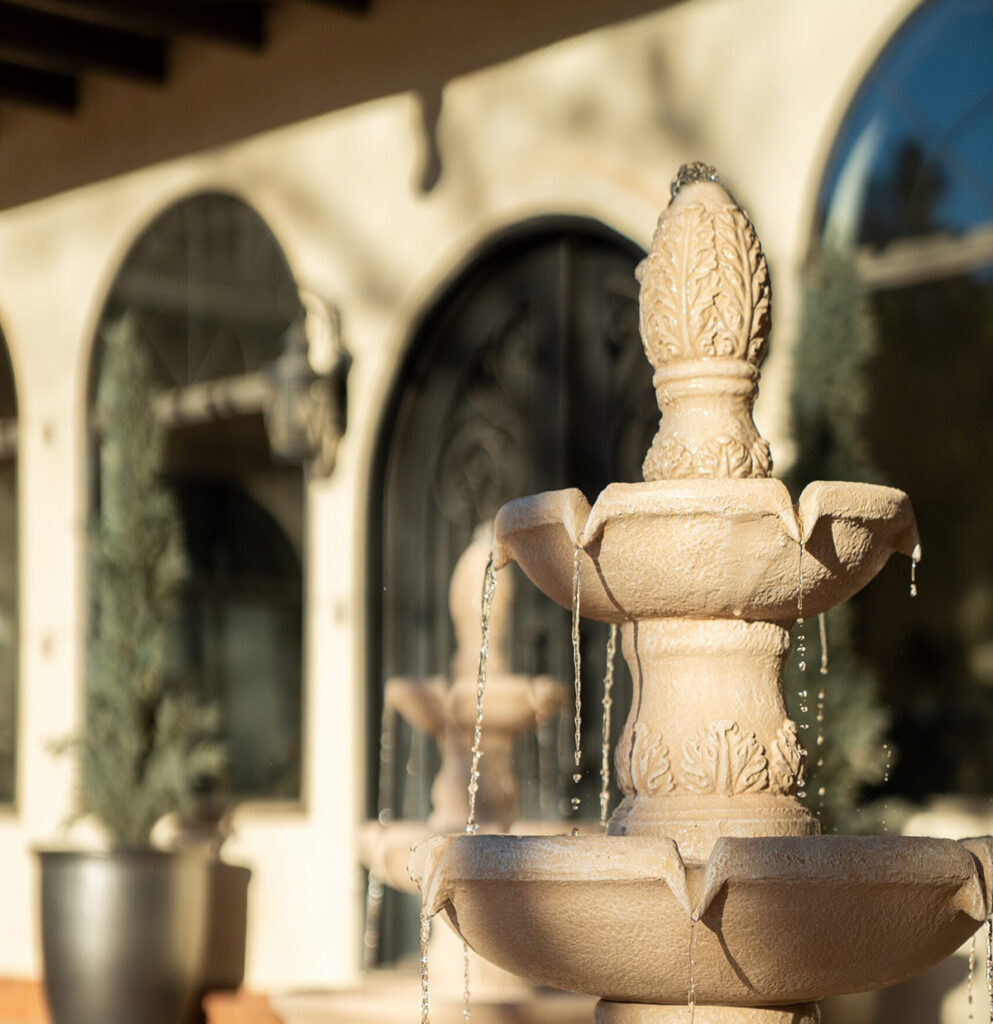 Zion red rock dsc2449 scaled