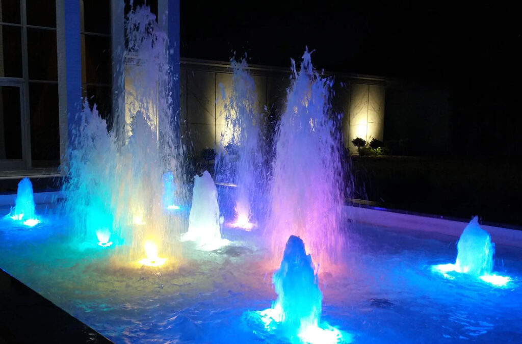Image bg